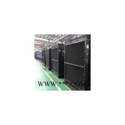 斯坦福发电机 发电机 发电机组图4