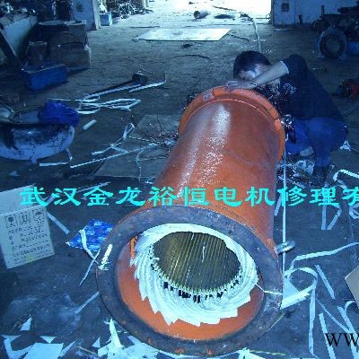 供应高压电机维修，进口电机维修。