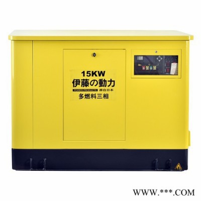 YT15REG纯进口动力发电机图3