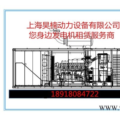 专业租赁发电机，进口与国产柴油发电机图4