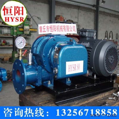 供应恒阳HYSR150专业生产罗茨风机/三叶罗茨风机/罗茨风机图4