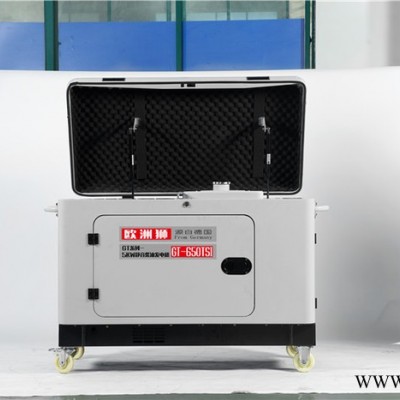 欧洲狮发电机3kw柴油发电机图5
