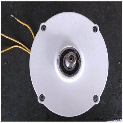 蓝润 永磁发电机 制作风力发电机 小型发电机可定制电压12V 24v 48V 60V 稀土低速永磁发电机图3