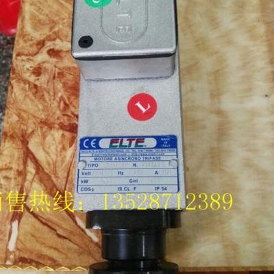 意大利ELTE高速主轴电机  意大利进口雕刻机  意大利ELTE高速马达  夹盘电机、齐头电机图2