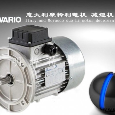 【原装进口】意大利MOTOVARIO电机 TS TB系列摩铎图1