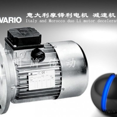 【原装进口】意大利MOTOVARIO电机 TS TB系列摩铎图2