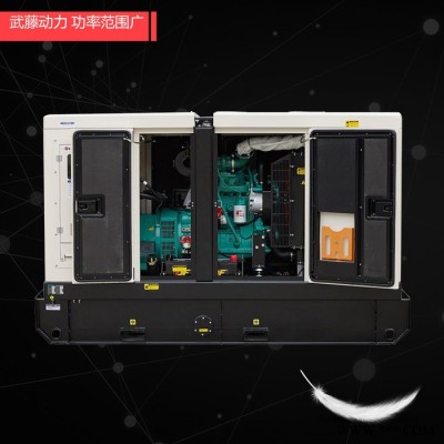船用柴油发电机组50KW静音发电机 船用发电机图7