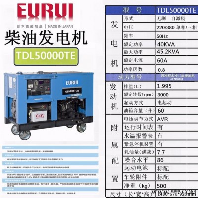 日本东洋 进口三相发电机TSN26000TE图2