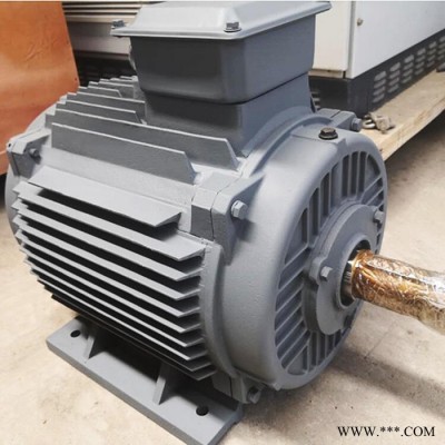 蓝润低速永磁发电机LR-10KW 可定制试验用发电机 大功率发电机组 足功率发电机图3