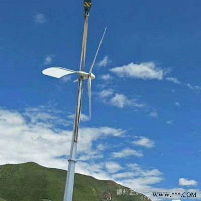 蓝润30KW风力发电机 并网风力发电机价格  永磁三相风力发电机发电量高使用寿命长 风力发电机配件图1