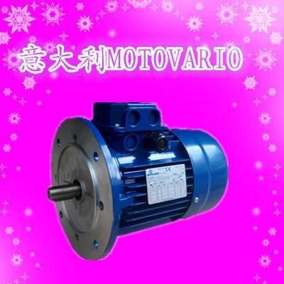 T90L4-1.5KW意大利MOTOVARIO进口电机图2