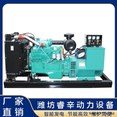 发电机厂家 发电机 180kw发电机组 睿辛动力图4