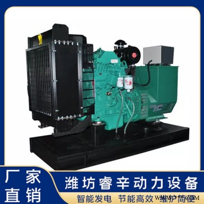 发电机厂家 发电机 180kw发电机组 睿辛动力图5