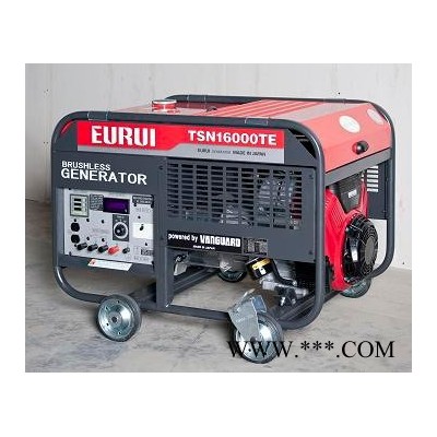 日本原装进口EURUI东洋发电机TSN16000TE