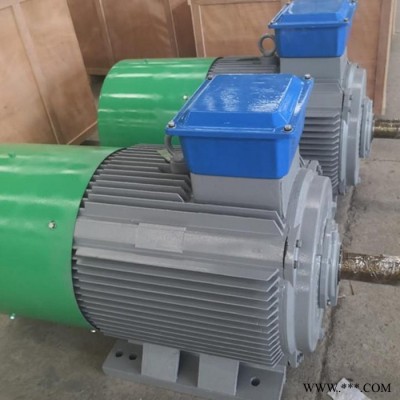 蓝润大功率永磁发电机 100KW直驱交流发电机 大型发电机生产厂家图1
