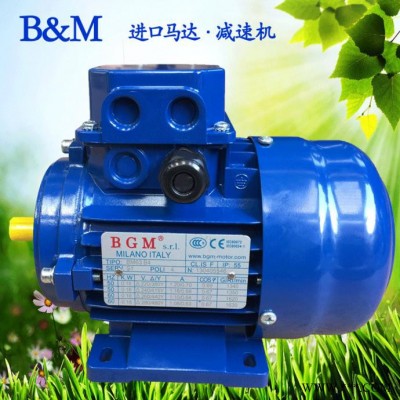 杭州销售意大利BGM马达，进口电机马达，BM90S4-1.1KW电机图3