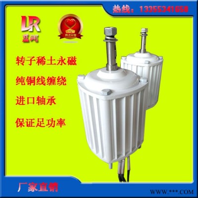 蓝润LR-5.0稀土永磁同步发电机 国产发电机实验用发电机直驱发电机厂家纯铜线足功率图7