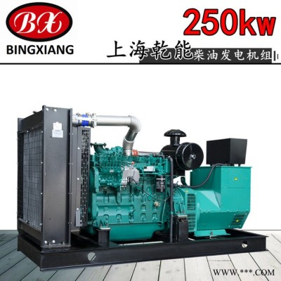 上海乾能发电机QN9H272  250KW柴油发电机组 临时电源 商场发电用发电机 商超发电机图4