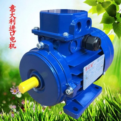 苏州销售意大利BGM马达，进口电机马达，BM112M2-4KW电机图3