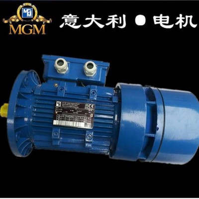 现货出售意大利MGM电磁制动刹车电机意大利原装进口电机现货图2