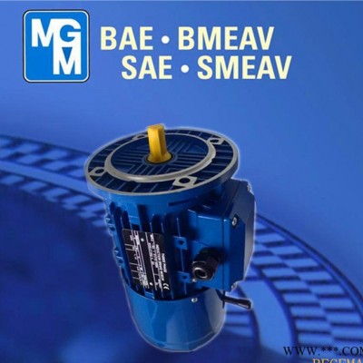 原装进口MGM电机，MGM意大利，原装**MGM制动马达，BA100LB6图2