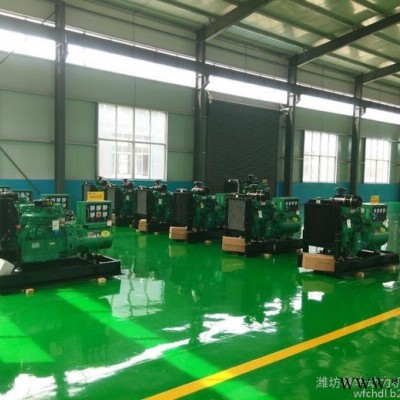 潍柴（K4100D）柴油发电机 30KW柴油发电机 抗洪救灾用发电机 潜水泵用发电机 柴油发电机组 50Hz柴油发电机图5