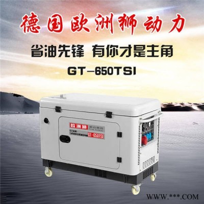 简易安全5kw柴油发电机 欧洲狮发电机图3