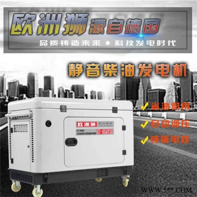 简易安全5kw柴油发电机 欧洲狮发电机图2