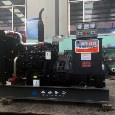 潍柴100kw发电机组 原厂无刷发电机 潍柴发电机厂家 100千瓦柴油发电机组 潍柴发电机组图1