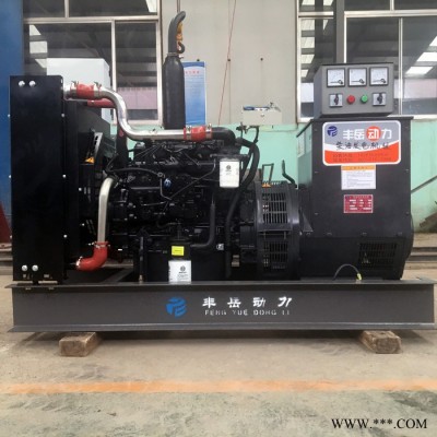 潍柴100kw发电机组 原厂无刷发电机 潍柴发电机厂家 100千瓦柴油发电机组 潍柴发电机组图2