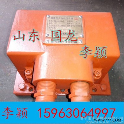 FB-350/24Y：永磁发电机  隔爆发电机  #李颖图2