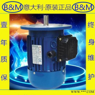 意大利原装进口B&M0.75KW三相交流电机耐高温电机 现货出售图2