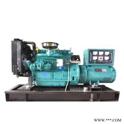 30kw发电机组_柴油发电机组_柴油发电机图2
