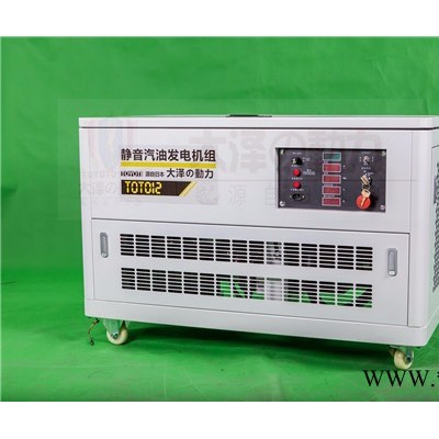 大泽动力12kw汽油发电机 发电机厂家图2