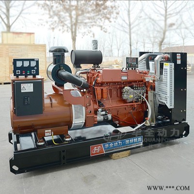 柴油发电机组200kw 发电机组厂家 200千瓦移动自启动发电机组 200千瓦发电机 潍坊里卡多系列发电机组200kw图5