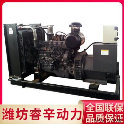 上柴发电机组 发电机组 300kw发电机组 睿辛动力 品质保证图3