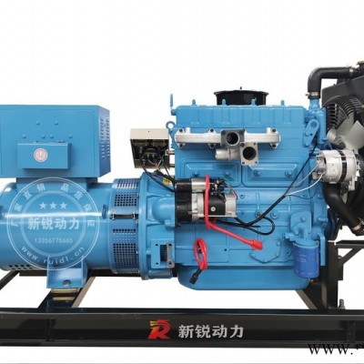 发电机组供应商 申动发电机组厂家 30kw发电机组 新锐动力图4
