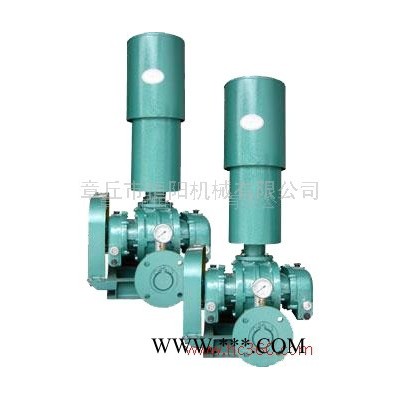 明阳牌 厂家专业定制加工 HYSR50-300 主要用于污水处理*水产养殖*气力输送的罗茨风机*鼓风机*真空泵，图3