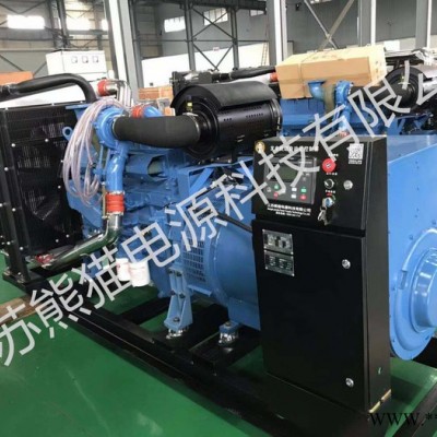 广西玉柴柴油发电机16KW-2200KW全自动静音发电机报价 移动式发电机价格直销 厂家发货货到付款 全国售后联保图2