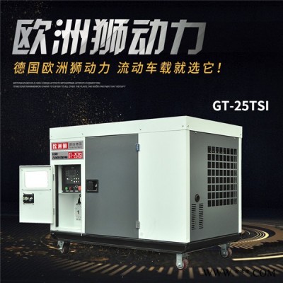柴油发电机20kw原装价格  欧洲狮发电机组图2