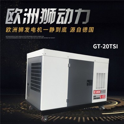 柴油发电机20kw原装价格  欧洲狮发电机组图1