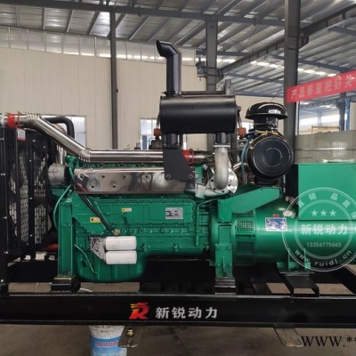 康明斯静音发电机组 大型发电机组 300Kw发电机组 新锐动力