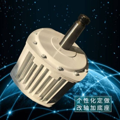 蓝润LR-3.0 稀土低速永磁发电机 三相交流永磁发电机 大扭矩低速电机  永磁发电机厂家纯铜线足功率图1