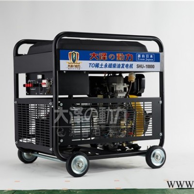 10kw永磁柴油发电机 便携小型发电机组 无刷柴油发电机组大泽动力图2
