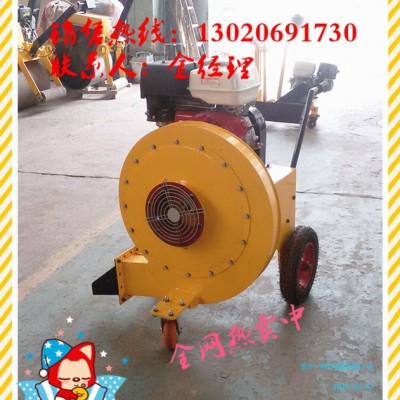**现货路面吹风机，汽油吹风机，工程吹风机，手推式吹风机，扫雪机图3
