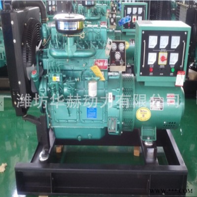 潍坊原厂 20kw柴油发电机组家用小发电机夜钓用小型发电机组220v图1