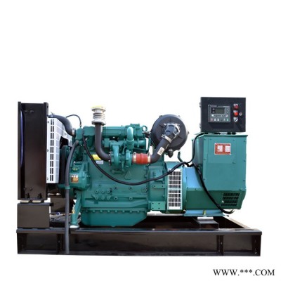 50kw发电机组 潍柴原厂 道依茨柴油发电机 潍柴发电机50kw 50kw超静音柴油发电机组 静音式发电机50千瓦图4