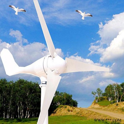 河北鑫瑞达风力发电机 小型家用风力发电机 质量好 成本低