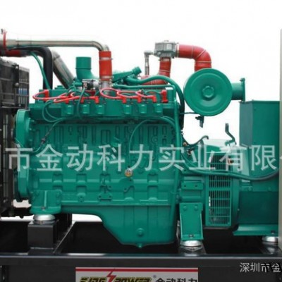 生产 天燃气发电机组 发电机山东供应商 山东发电机生产商图3