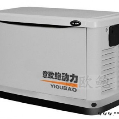 40kw静音汽油发电机组 J40PMQ意欧鲍汽油发电机 发电机组单位图3